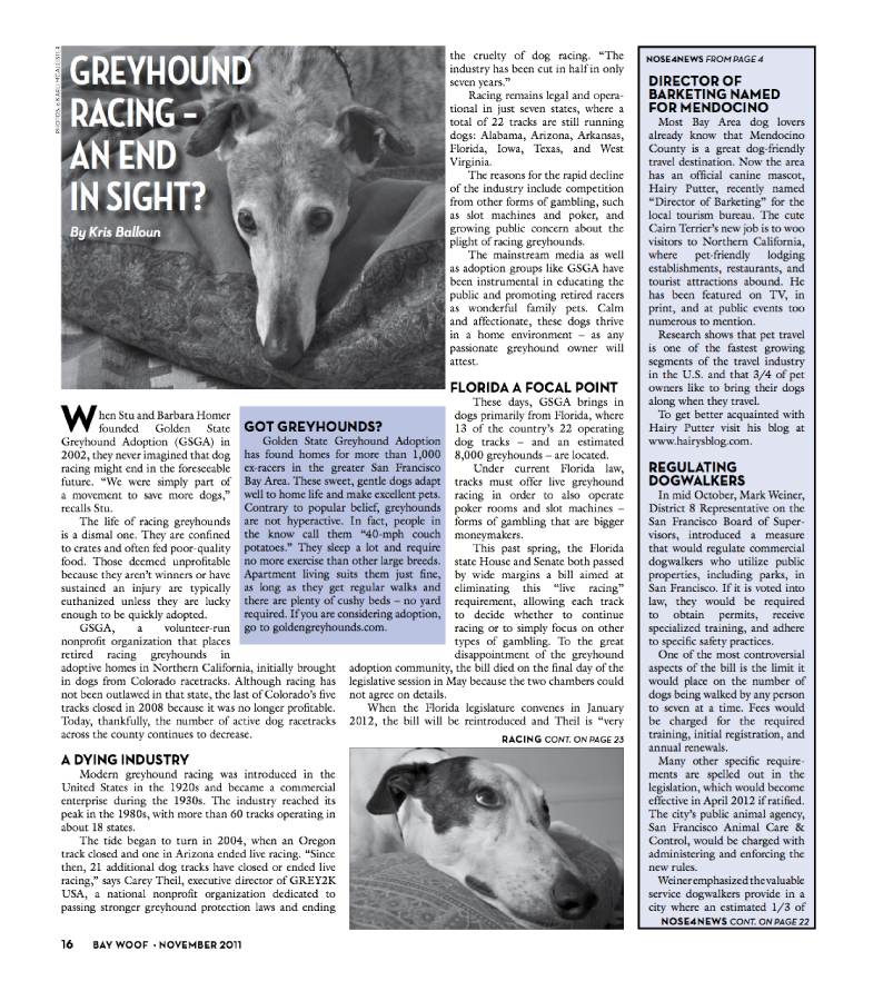 Articles - Bay Woof Magazine