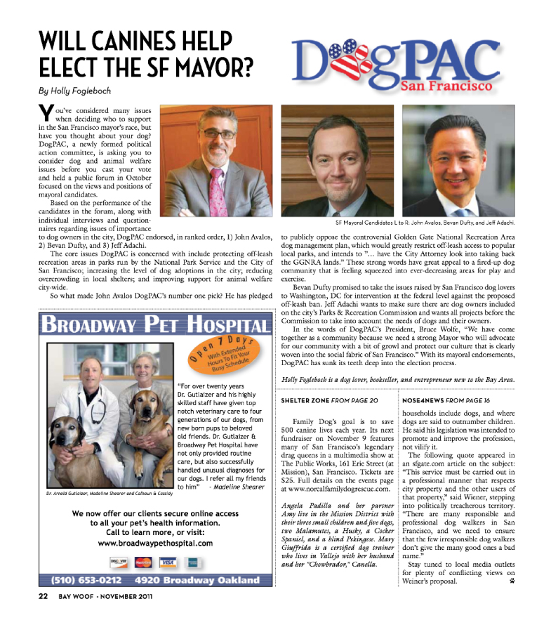 Articles - Bay Woof Magazine